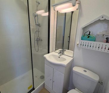 Location Appartement 1 pièce 17m² GRENOBLE 38000 - Photo 4