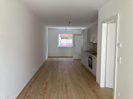 Erstbezug im Annenviertel - 2 Zimmer mit Balkon [GF,Idl] - Photo 4