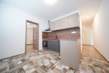 Na prenájom 3 izbový byt po rekonštrukcii, Južná trieda - Photo 3