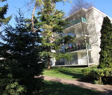 Appartement 1 Pièce 31 m² - Photo 5