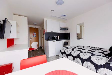 Deluxe Studio - Photo 3