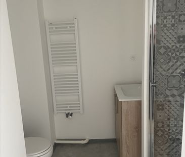 Location Appartement 1 pièce 18m² - Photo 4