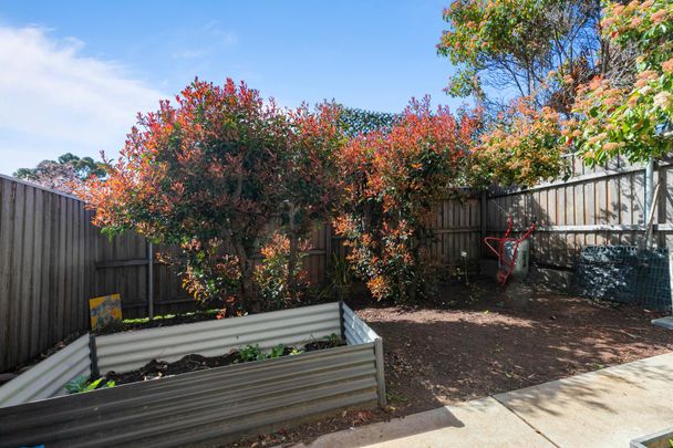 6/4 Taroona Pl, Lyons ACT 2606 - Townhouse For Rent | Domain - Photo 1