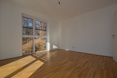 Ries – 53m² – 2 Zimmer Wohnung – Dachterrasse -inkl. TG Platz - Foto 3