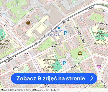 mazowieckie, Warszawa, Śródmieście, Muranów, Niska - Zdjęcie 1
