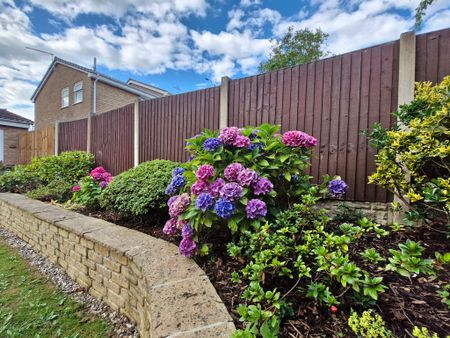 3 bedroom semi-detached to let - Photo 2
