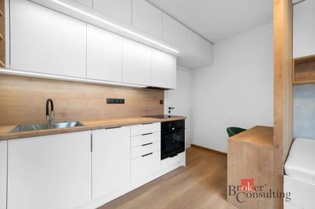 Pronájem bytu 1+kk 24 m - Fotografie 5