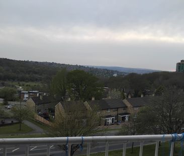 3 Bed Maisonette, Sheffield, S14 - Photo 5