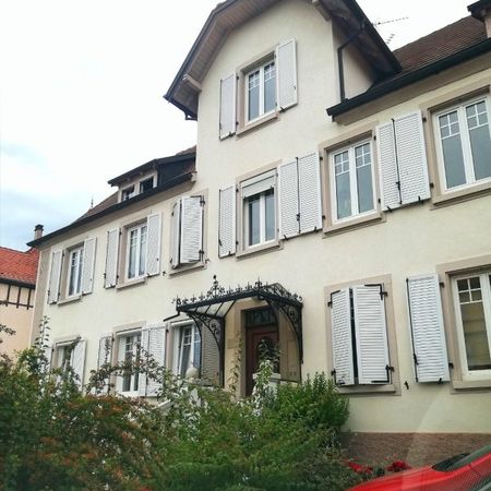 Appartement Molsheim 2 pièces 56 m2 entièrement meublé et équipé! - Photo 4