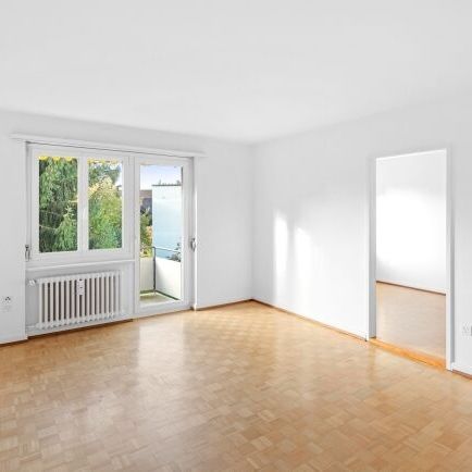 A cozy life in the heart of Frauenfeld - Photo 1