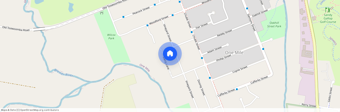 23 Vineyard St, Qld 4305, One Mile