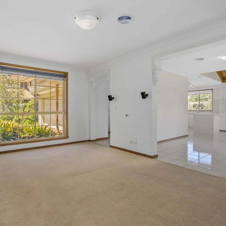 Spacious, Sun-Filled Home with Newly Renovated Kitchen - Photo 1