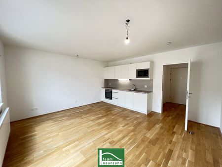 Wundervolle 1-Zimmer Wohnung in toller Lage – Einbauküche und Balkon inklusive – ab 01.02.2025 beziehbar! - Photo 5