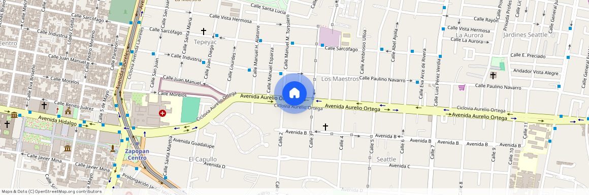 Avenida Aurelio Ortega 1171, Los Maestros, Zapopan, Jalisco, México