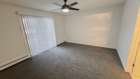 Stunning Fully Renovated Home With Walk In Shower & Soaker Tub In Millrise - Photo 3