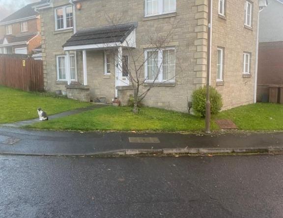 4 bedroom detached house to rent - Photo 1