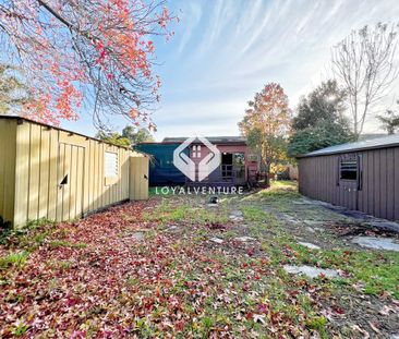 Versatile Family Home with Multiple Living Areas and Outdoor Appeal - Photo 5