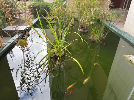 Location appartement 1 pièce 28 m2 à La Riche - Photo 2