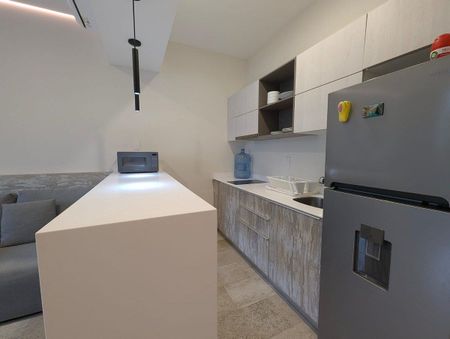 Elle Residences 203 - Photo 3