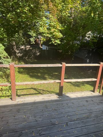 For Lease - 931 Royal York Road, Toronto, Ontario - Photo 2