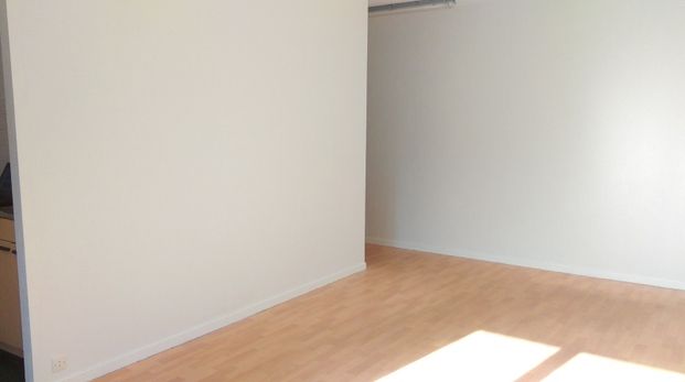 Location Appartement 1 pièce 30m² ORLEANS 45000 - Photo 1