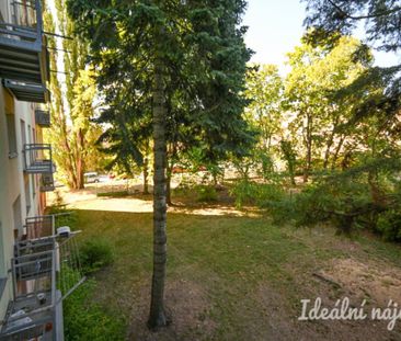 Pronájem bytu 2+1 54 m2 - Photo 1