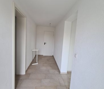 Langnau: Gemütliche moderne Single Wohnung - Photo 5