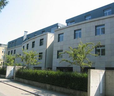 2.5 Zimmer Wohnung - Foto 6