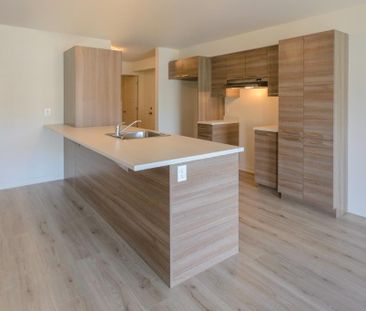 Logement 5 1/2 - Décembre 2025 - Photo 3