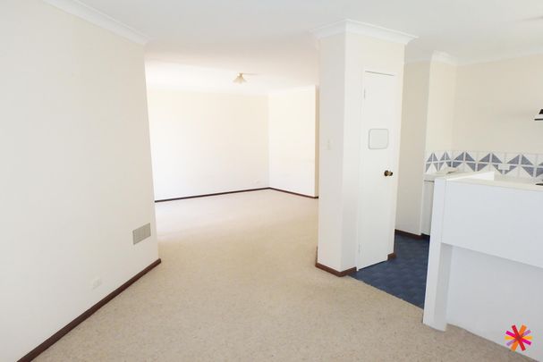 YOUR PERFECT VICTORIA PARK PAD WITH COURTYARD AND CONVENIENCE - Photo 1