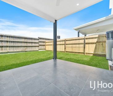 Terrace Living at it's Best! Larger than Most Standard Homes! - Photo 3