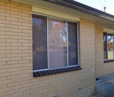 3/99 Wigg Street, Wodonga VIC 3690 - Apartment For Rent | Domain - Photo 6
