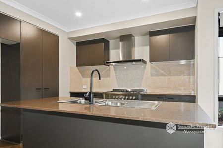 7 Pameri Street, Edgeworth - Photo 4