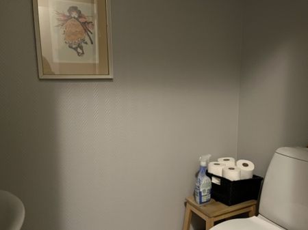 Malmögatan 21, Helsingborg - Photo 5