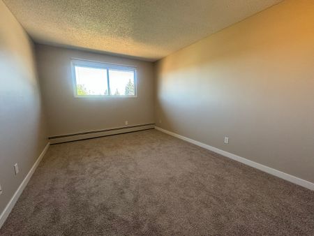 Spacious 2 Bedroom Cat Friendly Suite in Clearview! - Photo 5