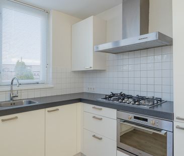 Duizendblad 58 - foto 4