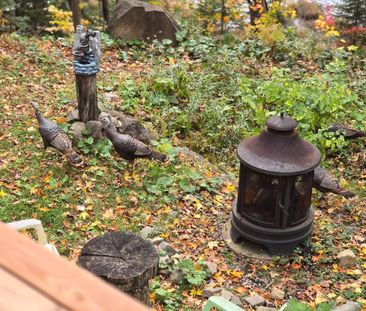 ST-SAUVEUR-3 1/2- VUE-PAIX-TOUT INCLUS- 4 MOIS et PLUS - Photo 3