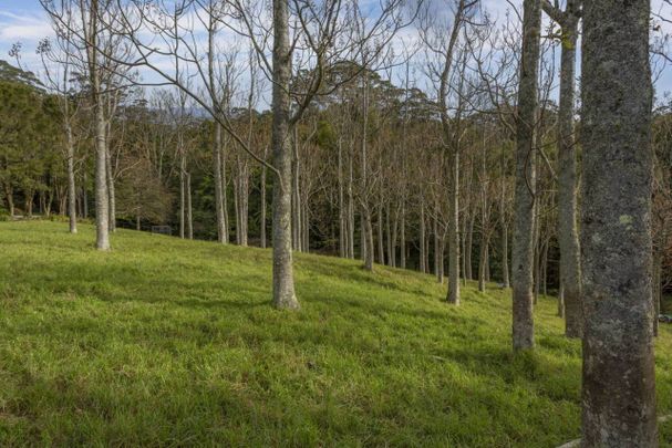 Rural Living with Ocean Views - Photo 1