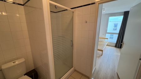 HAUT d'IDRON, Au Calme, T1 BIS Meublé en Résidence récente avec climatisation et parking privé, - Photo 4