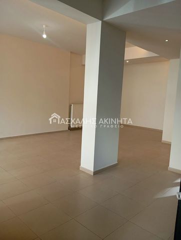 ΛΟΦΟΥΠΟΛΗ 1ΧΩΡΗ ΓΚΑΡΣΟΝΙΕΡΑ ΕΝΟΙΚΙΑΣΕΙΣ 20244 - Φωτογραφία 5