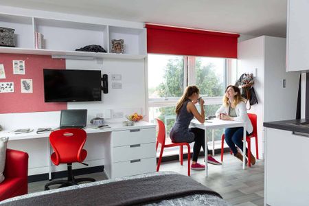 Premium Studio - Photo 5