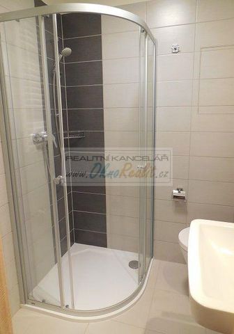 Pronájem bytu 1+kk 30 m2 - Fotografie 4