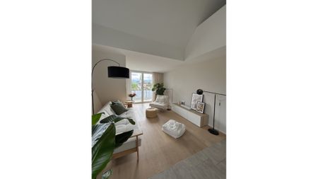 3½ Zimmer-Wohnung in Obfelden (ZH), möbliert, auf Zeit - Foto 5