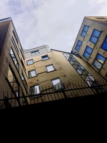 Ultimate Vita - Photo 2