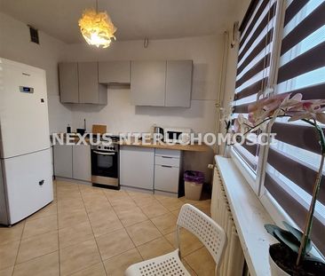 Dąbrowa Górnicza - Photo 2