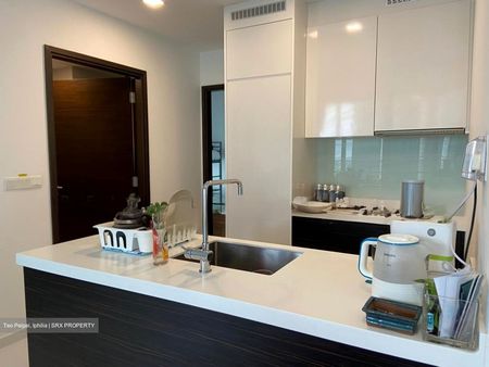 Eon Shenton (D2), Apartment - For Rent - Photo 3