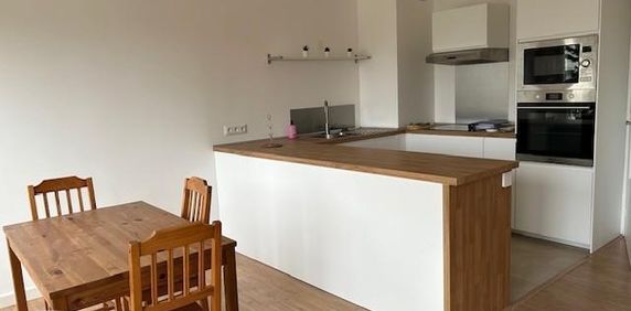 Location Appartement 2 pièces 47m² LOOS 59120 - Photo 2