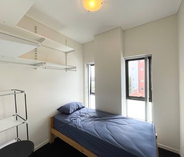 B819/444 Harris Street, Ultimo NSW 2007 - Apartment For Rent | Domain - Photo 2