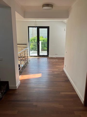 Big Beautiful and Bright Five-Bedroom House - Pipera - Fotografie 5