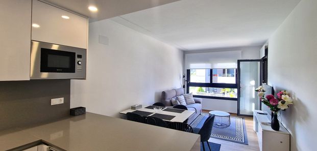 Luxurious Apartment for Short Term Rental in Villamartin - Photo 1